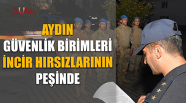 Aydın Güvenlik Birimleri incir hırsızlarının peşinde